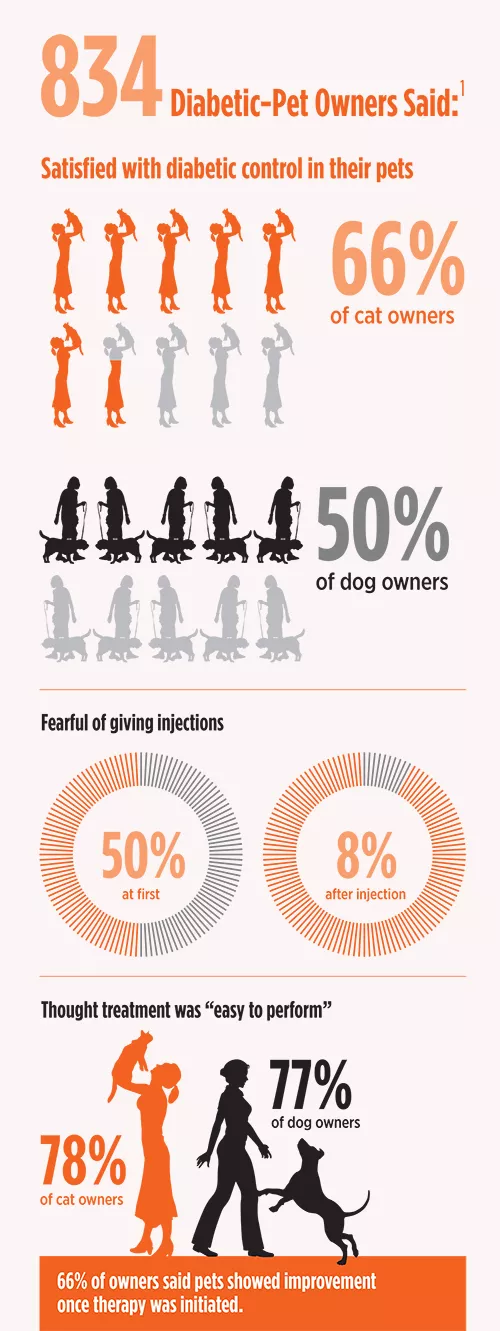 AtHome Diabetic Monitoring & Control Goals and Challenges Clinician